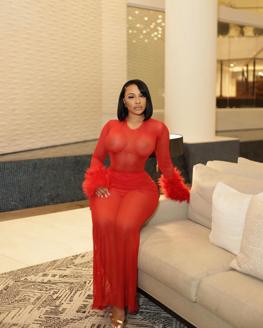 Monroe Mesh Dress